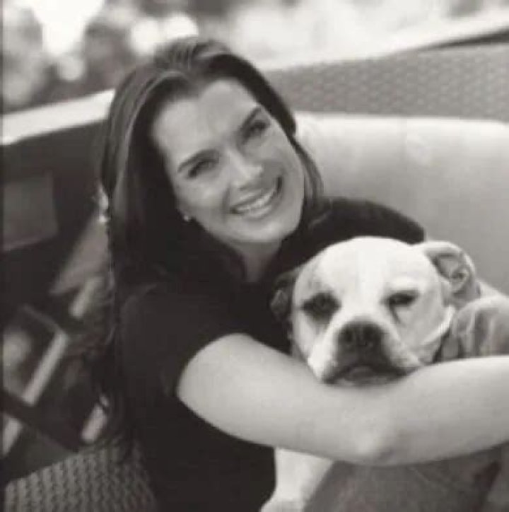 Brooke Shields Pets - Celebrity Pets