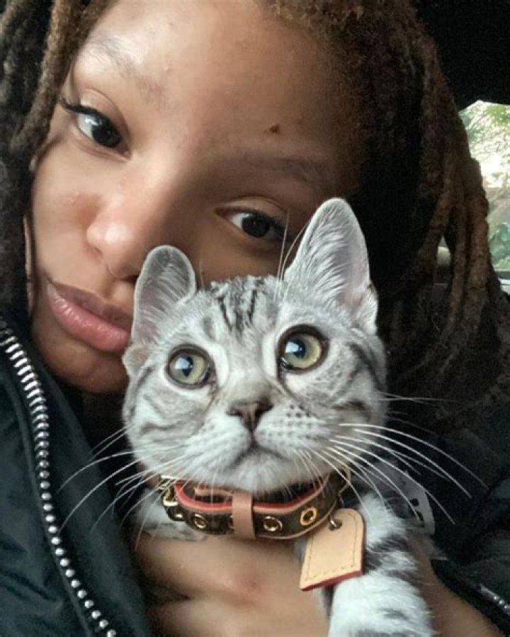 Halle Bailey Pets - Celebrity Pets