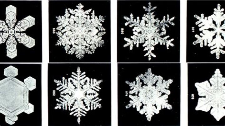 Snowflakes