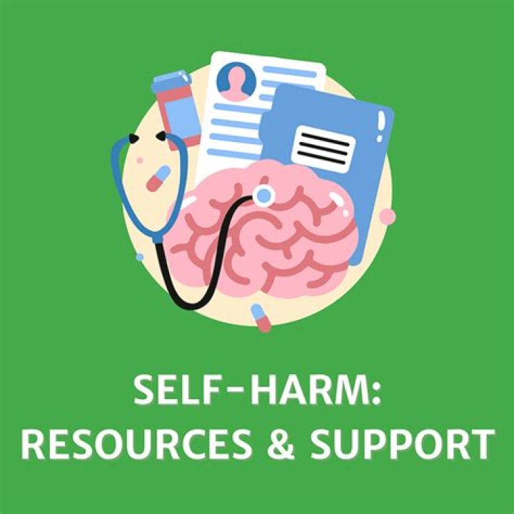 Summrs Self Harm Post And Mental Health, What Happened To Him?